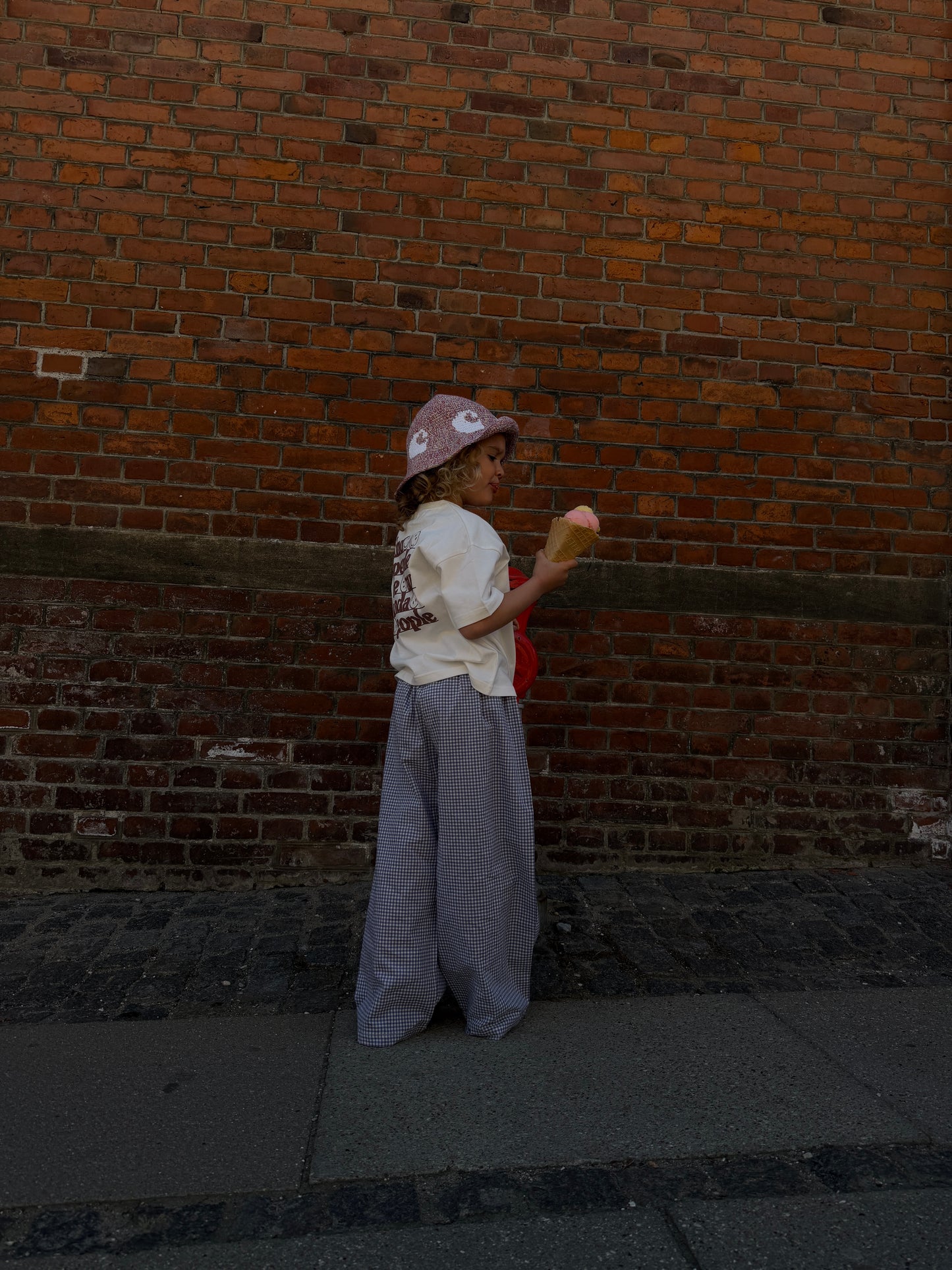 Rio Pants Checked