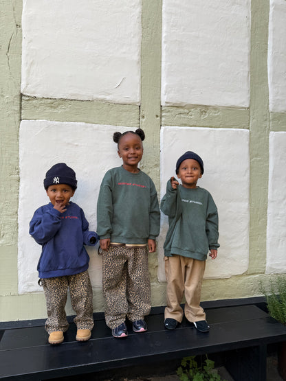 Emil Skater Jeans LEO